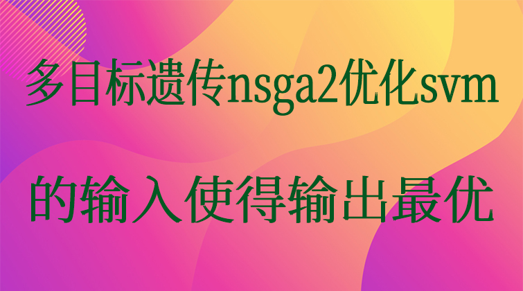 4-30多目标遗传nsga2优化svm的输入使得输出最优视频课程