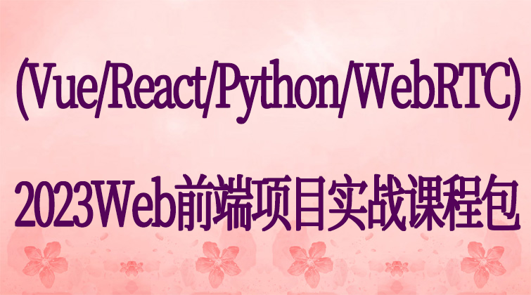 haima malala aotuo towin Promise React Python Vue WebRTC项目源码视频课程