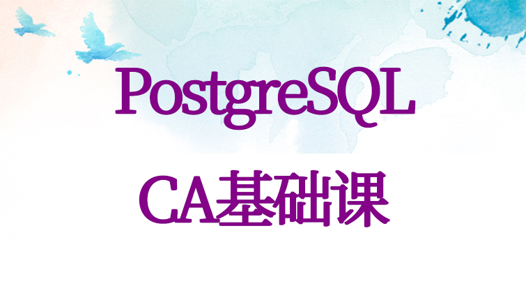 haima malala aotuo towin PostgreSQL CA视频课程
