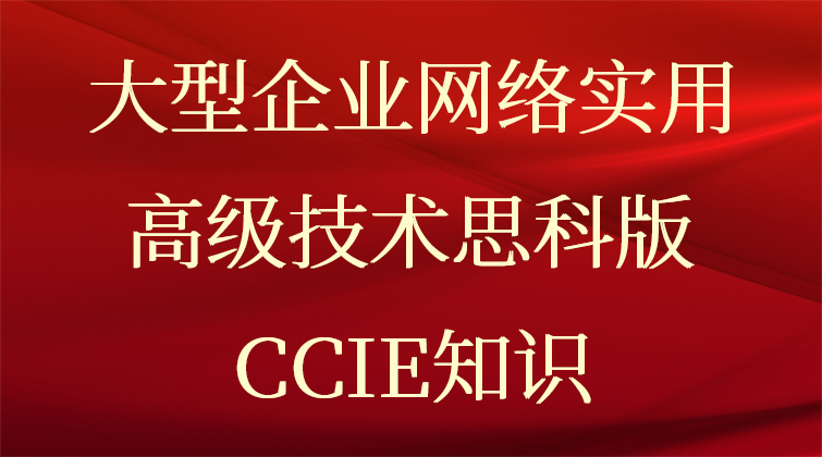 大型企业网络实用高级技术思科版 CCIE知识